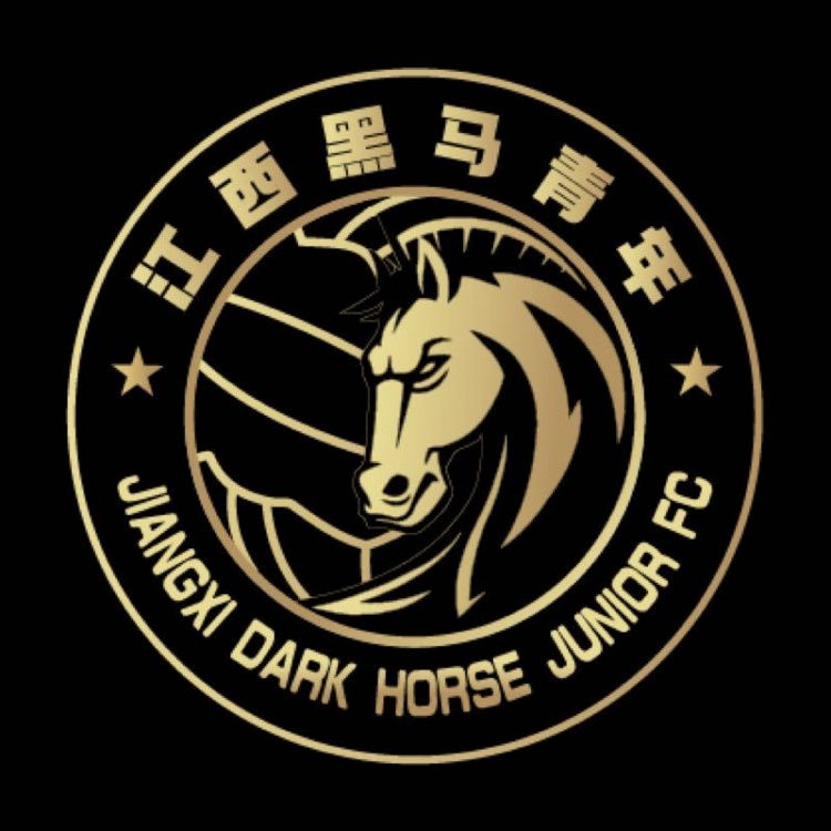  官方：江西黑馬青年完成異地遷移程序，更名為溫州職業(yè)足球俱樂部